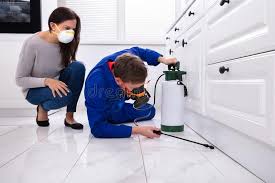 Emergency Pest Control Services in Solana Beach, CA