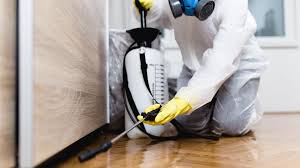 Professional Pest Control in Solana Beach, CA